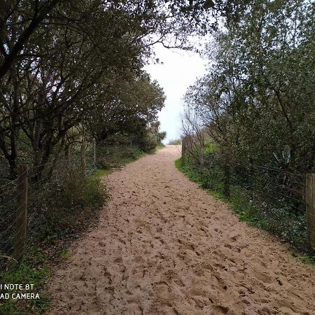 Logement 88 2-4 Personnes 500 M Plage Classe 2 Etoiles Dolus d'Oléron Zewnętrze zdjęcie