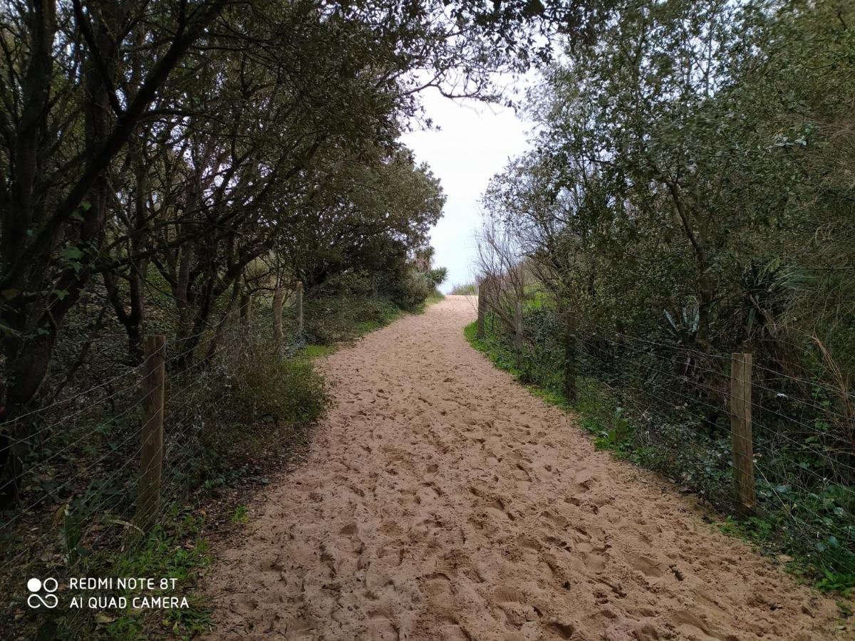 Logement 88 2-4 Personnes 500 M Plage Classe 2 Etoiles Dolus d'Oléron Zewnętrze zdjęcie